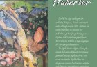 Hiçbiryer'den Haberler
