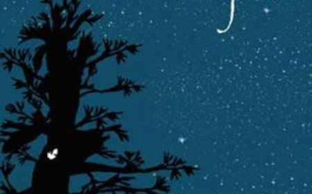 Gizemli Diyar Terijian