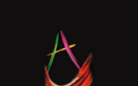 Anarşi Felsefesi İdeali