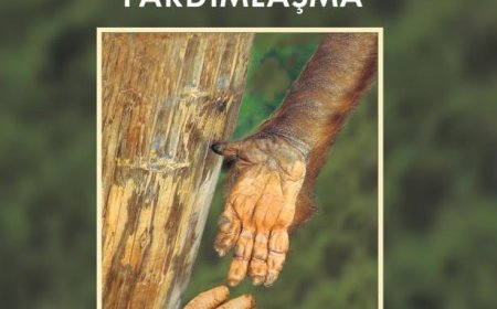 Karşılıklı Yardımlaşma